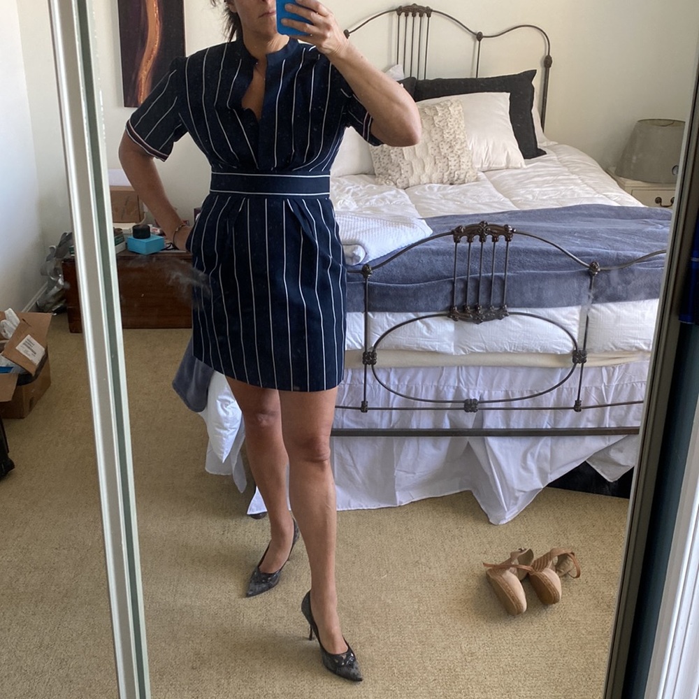 Sandro pin stripe dress